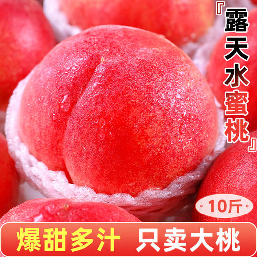 【阳山水蜜桃！口口爆汁！蜜桃中的爱某仕】红珍珠水蜜桃 香甜可口 齿齿留香  爱不释口！孩子老人の真爱蜜桃！桃子水果当季 现摘整箱包邮软时令油脆甜桃毛密桃-LC24GG07 商品图0
