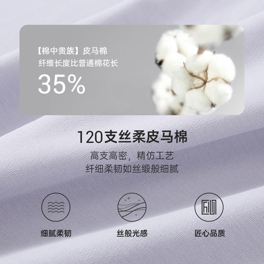 Threegun三枪【匠心系列-120支丝柔皮马棉】无痕圆领男背心-30619A221 商品图8