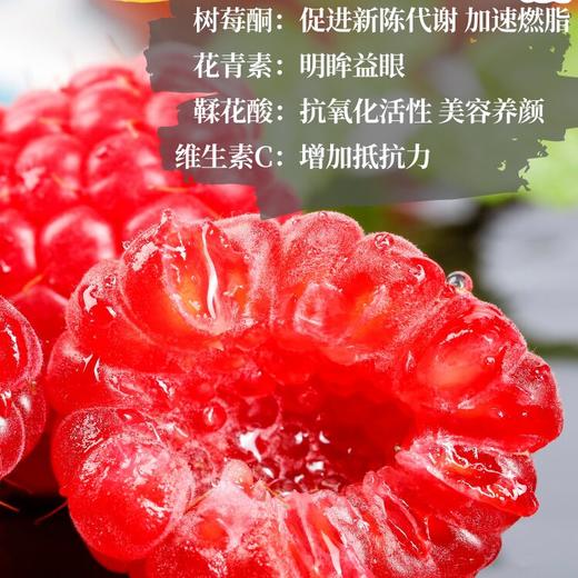新鲜水果 果味浓郁怡颗莓 树莓 125g左右/盒 商品图5