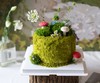 森系苔藓蛋糕（需提前5小时预定） 商品缩略图1