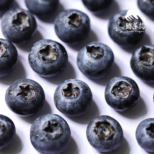 有机蓝莓（云南昆明）| 合作生产*Organic blue berry |  Partner Production 商品图4