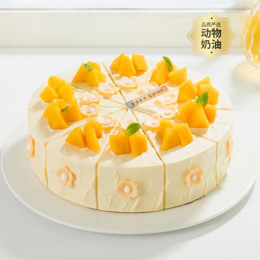 【微甜热量低】轻盈沐光蛋糕。微甜女孩，控甜之选！0添加蔗糖，更健康更好吃（全国正价链接） 商品图1