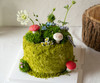 森系苔藓蛋糕（需提前5小时预定） 商品缩略图0
