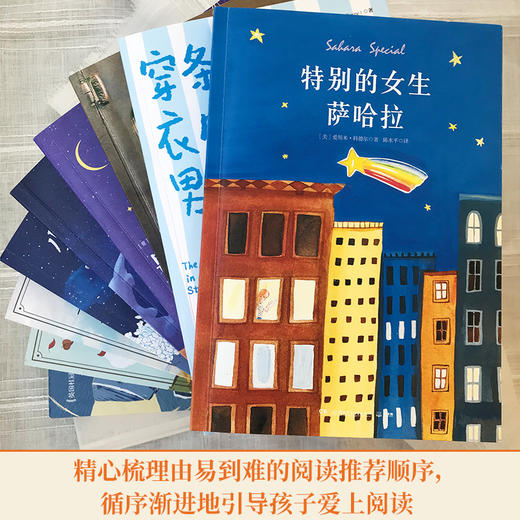 8岁+ 国际儿童文学经典书系10册  博集 商品图2
