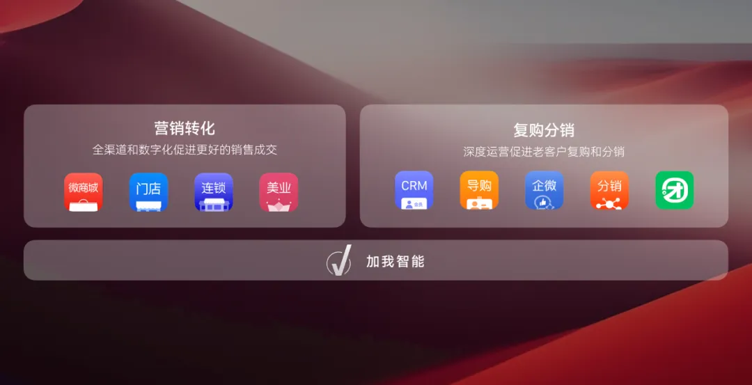 营销转化和复购分销