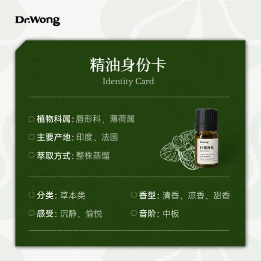 柠檬薄荷 植物香薰精油 商品图2