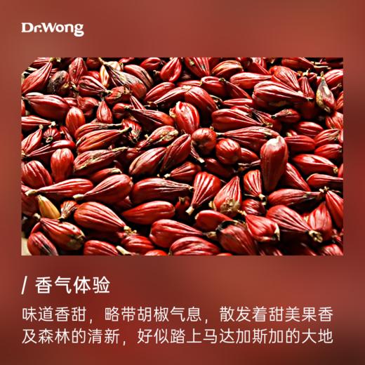 焕颜草 植物香薰精油 商品图1
