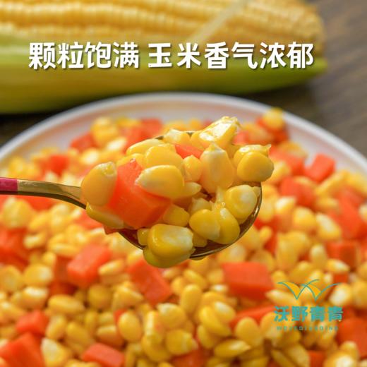 排单发货！金银玉米4斤包邮，顺丰发货，有机方式种植，甜蜜爆汁，生吃熟吃均可 商品图6