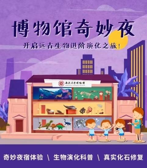 西北大学博物馆 |【博物馆奇妙夜】 商品图0