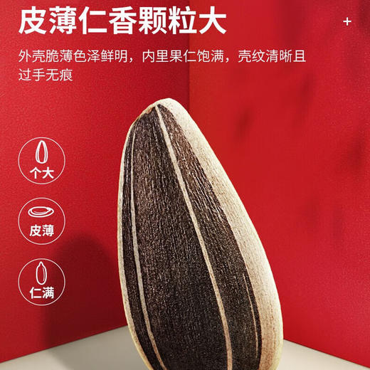 洽洽香瓜子22g/55g/350g 商品图2