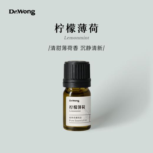 柠檬薄荷 植物香薰精油 商品图0