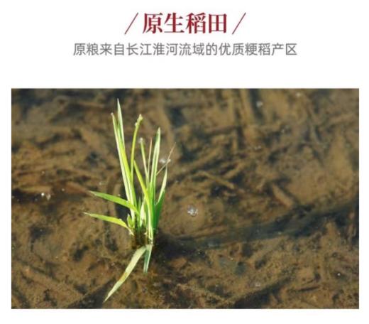 中粮| 皇家粮仓悦享东北大米 5kg 【BC】【ZL】 商品图4