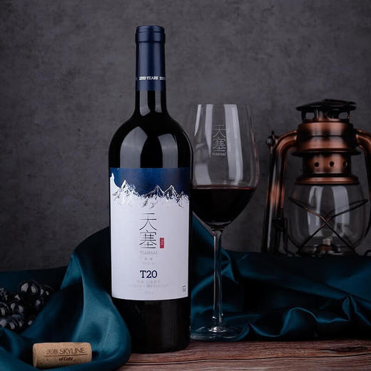 新疆天塞酒庄 T20 西拉/马瑟兰干红葡萄酒 商品图0
