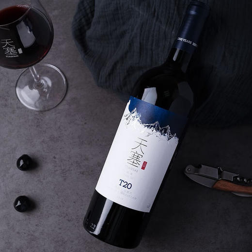 新疆天塞酒庄 T20 西拉/马瑟兰干红葡萄酒 商品图1