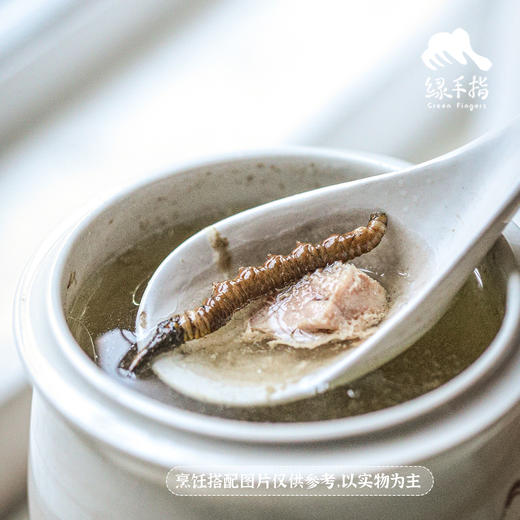 【88折-95折优惠】野生高海拔新鲜冬虫夏草（玉树）| 合作生产 * Yushu high altitude fresh Cordyceps sinensis | Partner Production 商品图6