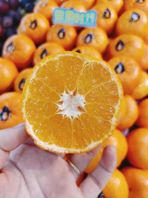 大众冰淇淋蜜桔2斤 商品图2