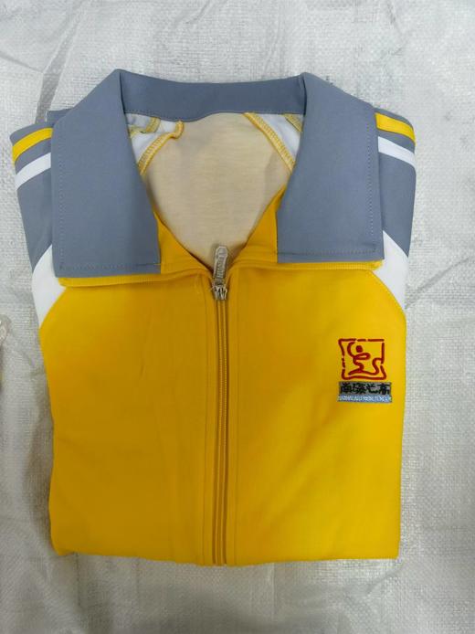 佛山市南海区艺术高级中学校服 商品图1