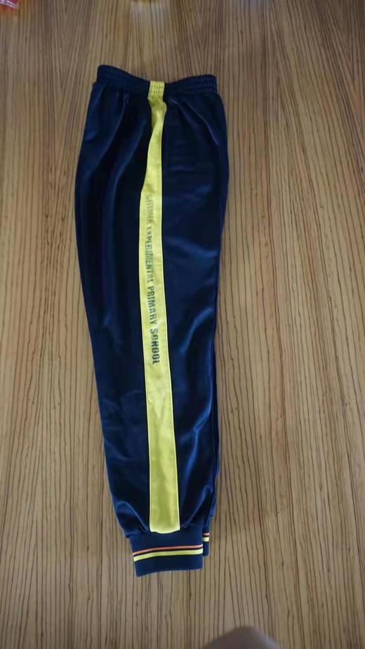 佛山市南海区石小实验学校（小学部）运动服 商品图3