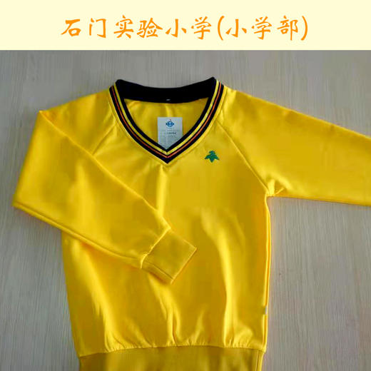 佛山市南海区石小实验学校（小学部）运动服 商品图4