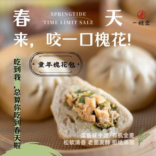 匠心面点【产地直发】@一穗堂 商品图5