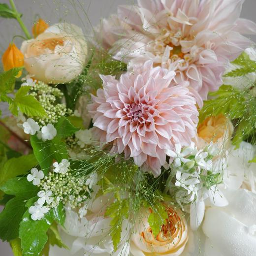 「瓶花」海盐抹茶 Fresh Match 商品图4