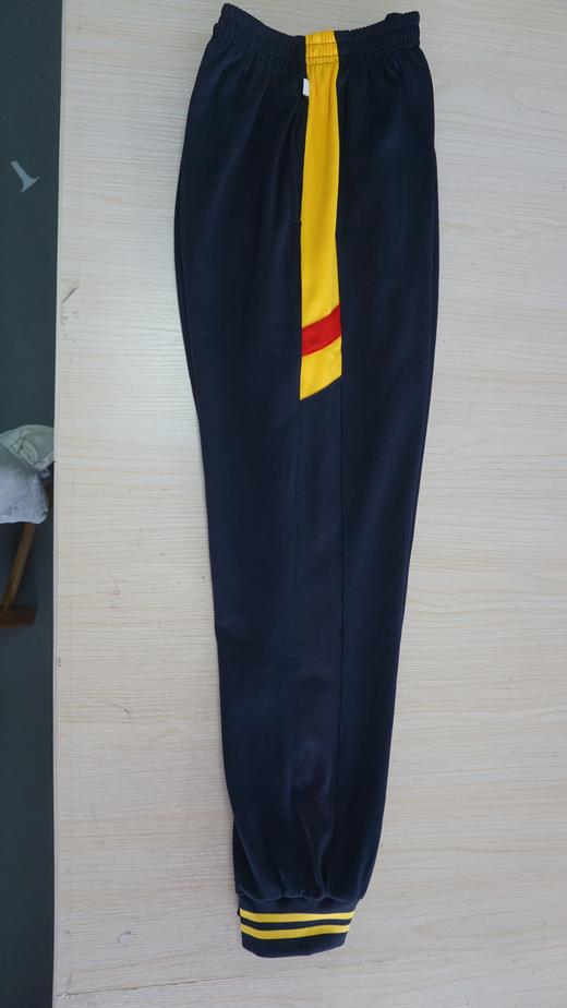 佛山市南海区石小实验学校（中学部）运动服 商品图2