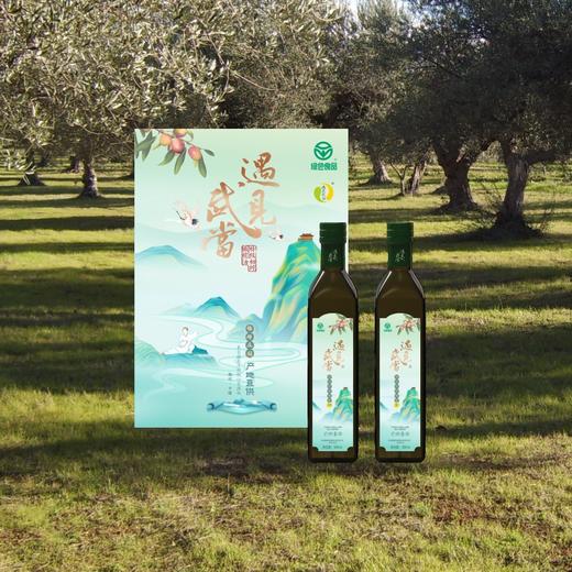 【严选】【绿色食品 可以喝的鲜榨橄榄果汁油 单不饱和脂肪酸高达78%左右】鑫榄源遇见武当臻鲜庄园礼盒特级初榨橄榄油500ml*2  （厂家直发） 商品图1