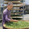 【益品茶房】谦益&三生谷联名 杭州野放茶园 红茶100g 一芽一叶  口感醇厚 商品缩略图4