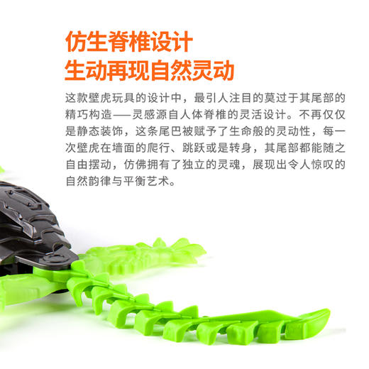 斯平马斯特Spin Master 赫宝机器虫系列- 爬墙壁虎SPMC68184-6070281 商品图5