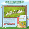 【婴标 儿童米饼零食礼包】爷爷的农场 原味米饼32g+蔬菜米饼32g+水果米饼32g+尝鲜米饼6.4g*2 商品缩略图4