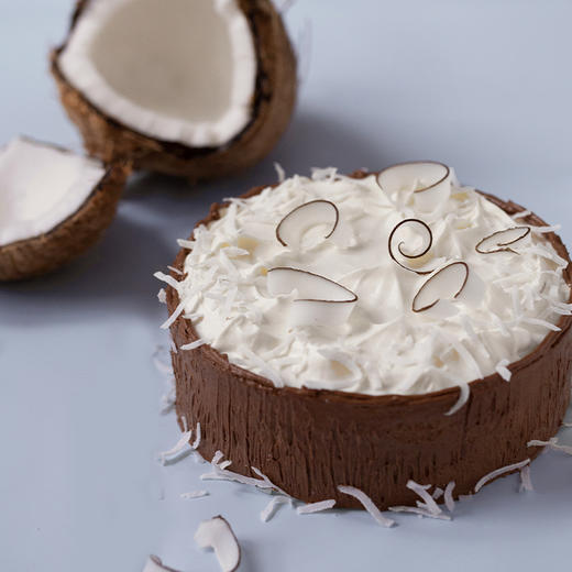 椰子蛋糕 商品图2