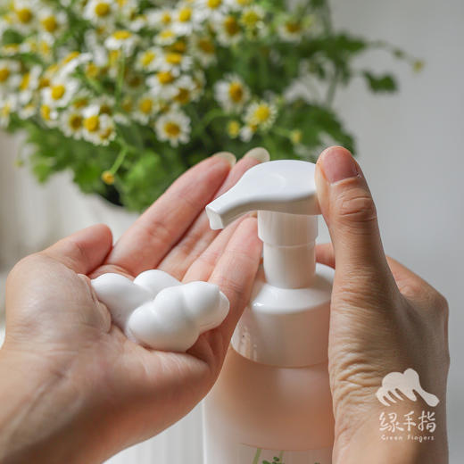 柠檬草洗手泡泡(洗手液) | 合作生产*Lemon grass hand washing bubble | Partner Production 商品图1