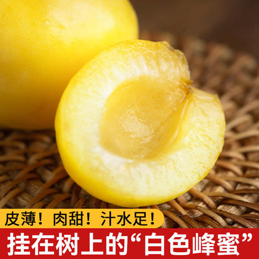 2026新疆吊干杏 按斤 商品图1