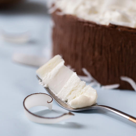 椰子蛋糕 商品图8