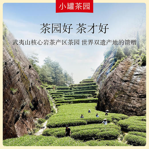 小罐茶  金标系列大红袍茶 65g 免洗茶 百花香 木质香 48小时发货 商品图1