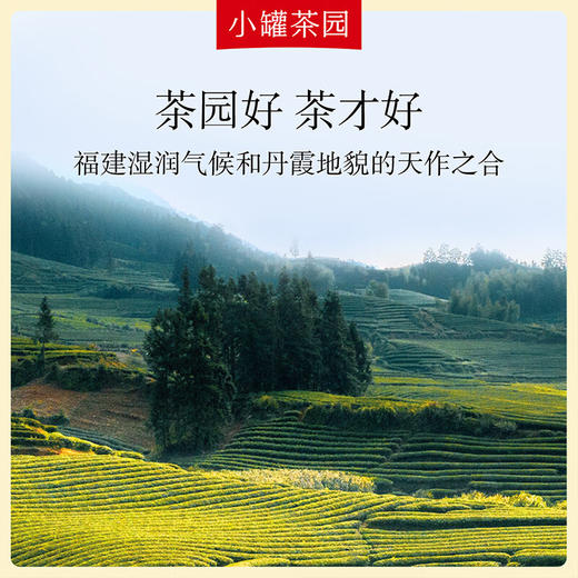 小罐茶 彩标系列大红袍茶 80g 免洗茶叶 风味纯净 48小时发货 商品图1