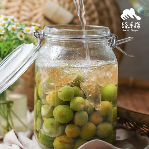 生态青梅（云南） | 合作生产 * Eco-green plum | Partner Production 商品图1