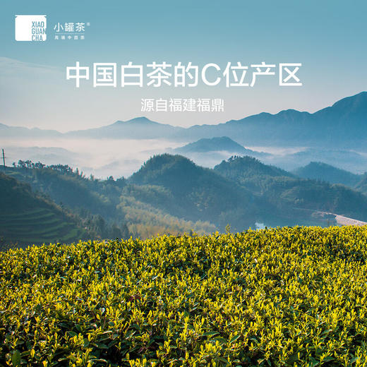 小罐茶 寻迹白茶·组合茶28罐装196g 自饮矜贵 商务礼赠礼盒 48小时发货 商品图6
