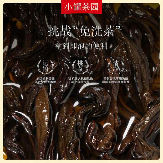 小罐茶  金标系列大红袍茶 65g 免洗茶 百花香 木质香 48小时发货 商品图5