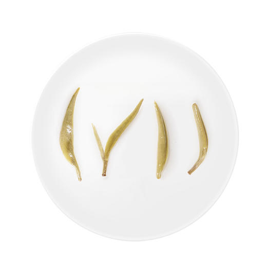 小罐茶 银罐10罐装茉莉花茶 (10*4g)汤色浅黄绿明亮 口感鲜醇  48小时发货 商品图6