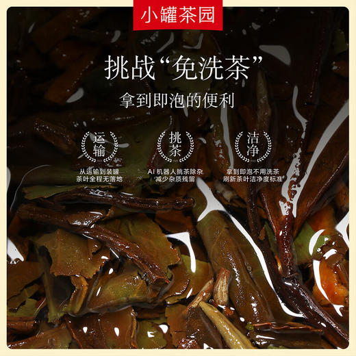 小罐茶  彩标系列陈皮白茶  (120g/24饼) 免洗茶叶 风味纯净 48小时发货 商品图3