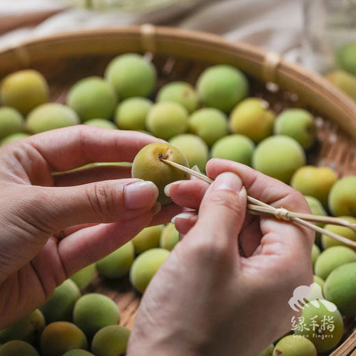 生态青梅（云南） | 合作生产 * Eco-green plum | Partner Production 商品图2