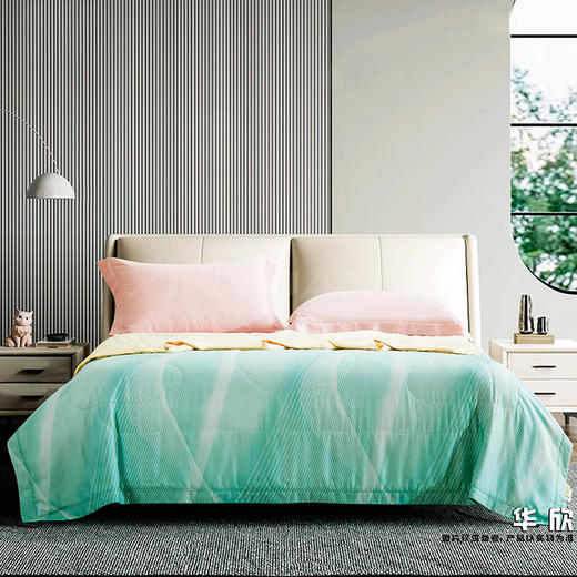 鑫缘 舒爽可水洗纯桑蚕丝被 AEPE0320 商品图4