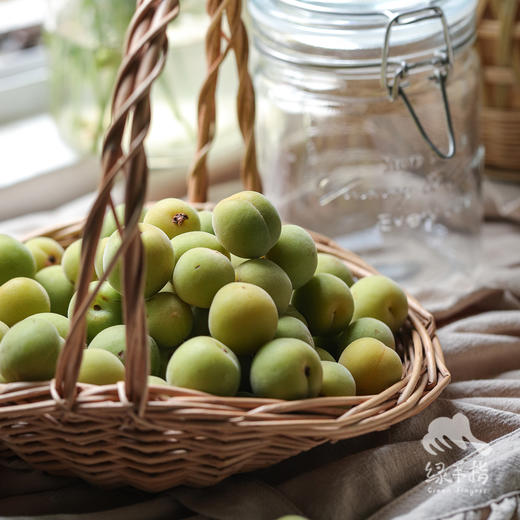 生态青梅（云南） | 合作生产 * Eco-green plum | Partner Production 商品图3