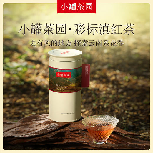 小罐茶  彩标系列滇红茶  125g 免洗茶 红薯香 48小时发货 商品图0