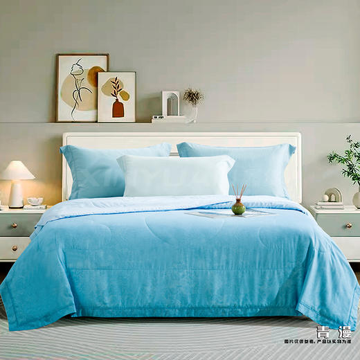 鑫缘 舒爽可水洗纯桑蚕丝被 AEPE0320 商品图3