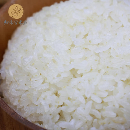 有机胚芽米 1kg/袋 归来兮米庄鲜米 全国配送（偏远地区除外） 商品图3