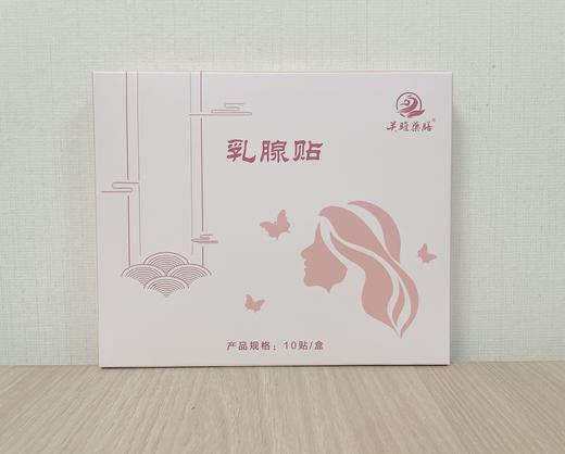 Z【现货】老客户定制/关雎药膳 乳乳贴  【此产品参加满199包邮】 商品图0