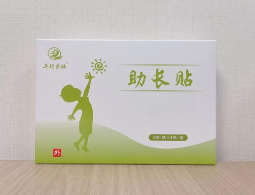 Z【现货】老客户定制/关雎竹长贴  专拍链接 商品图0