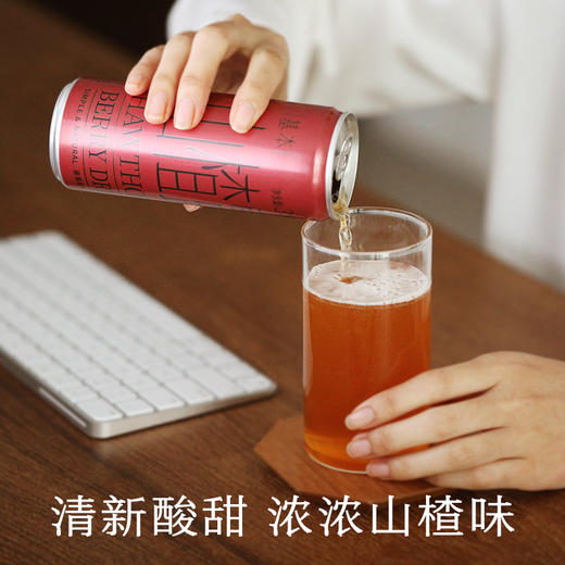 南食召 基本山楂露 商品图1